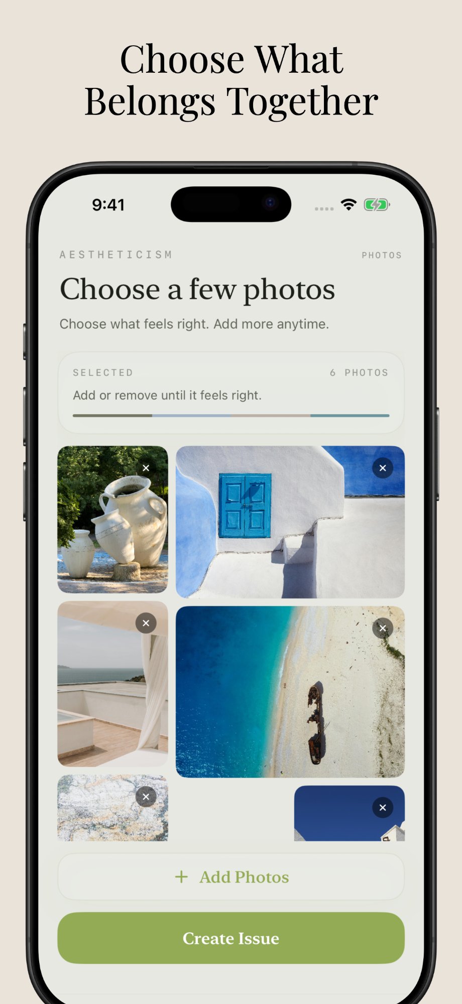 Aestheticism intake screen showing selected photos before generation